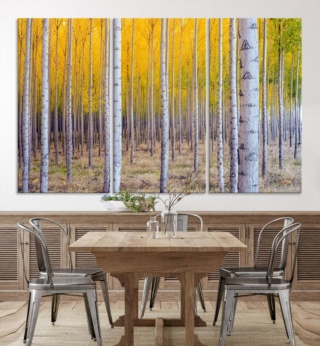 Birch Trees Forest in Autumn Wall Art Print