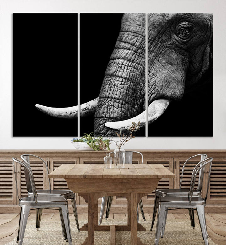 Wall Art Animal Canvas Print Close Taken Elephant with Big Ivories