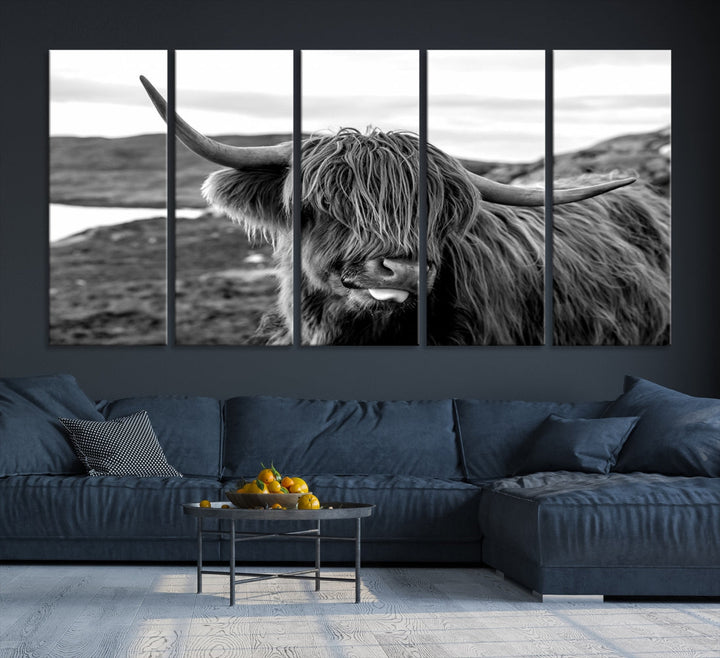 Scottish Highland Cow Cattle Art Print Farmhouse Wall Art Canvas Print