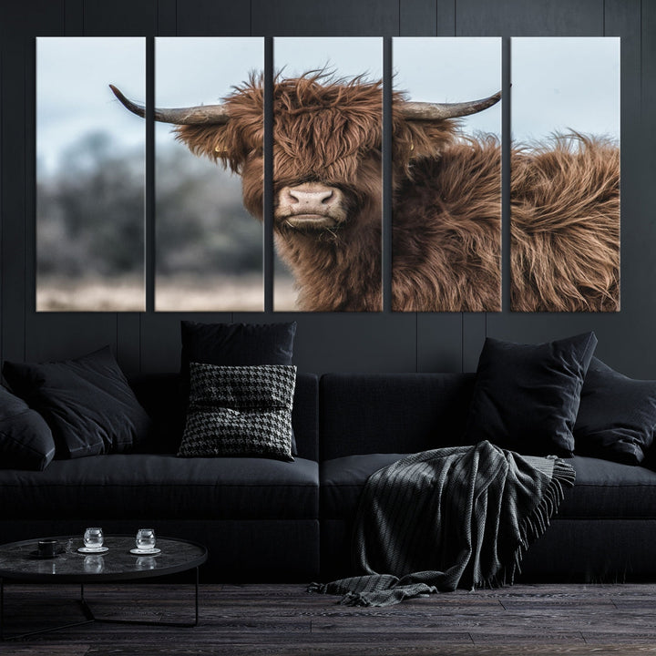 Fluffy Highland Cow Photographie Art mural Impression sur toile