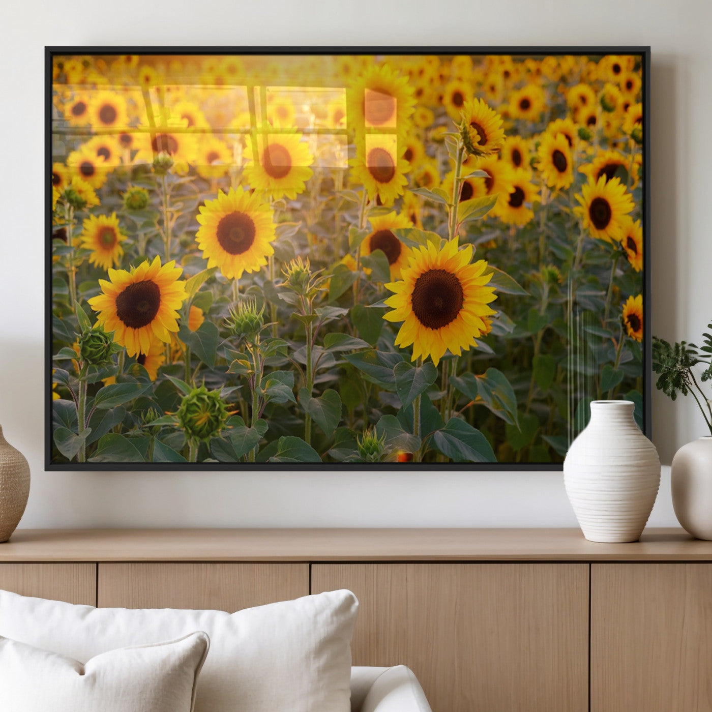 MGV-FP-60X30-3P - Sunflower Sunshine Wall Art Canvas Print