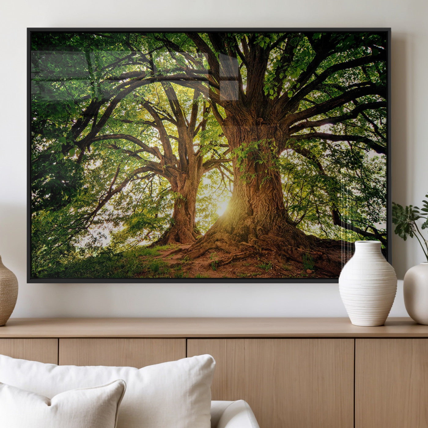 MGV-FP-36X24-3P - Majestic Ancient Tree Wall Art, NatureCanvas Print, Woodland Art, Tree of Life Artwork, Sunlit