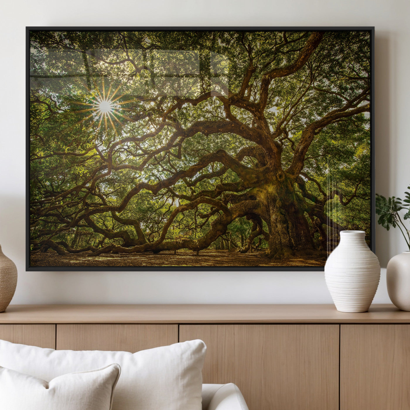 MGV-FP-36X24-3P - Ancient Angel Oak Tree Art Sunburst Canvas Print- Nature-Inspired Triptych Canvas Print, Framed,
