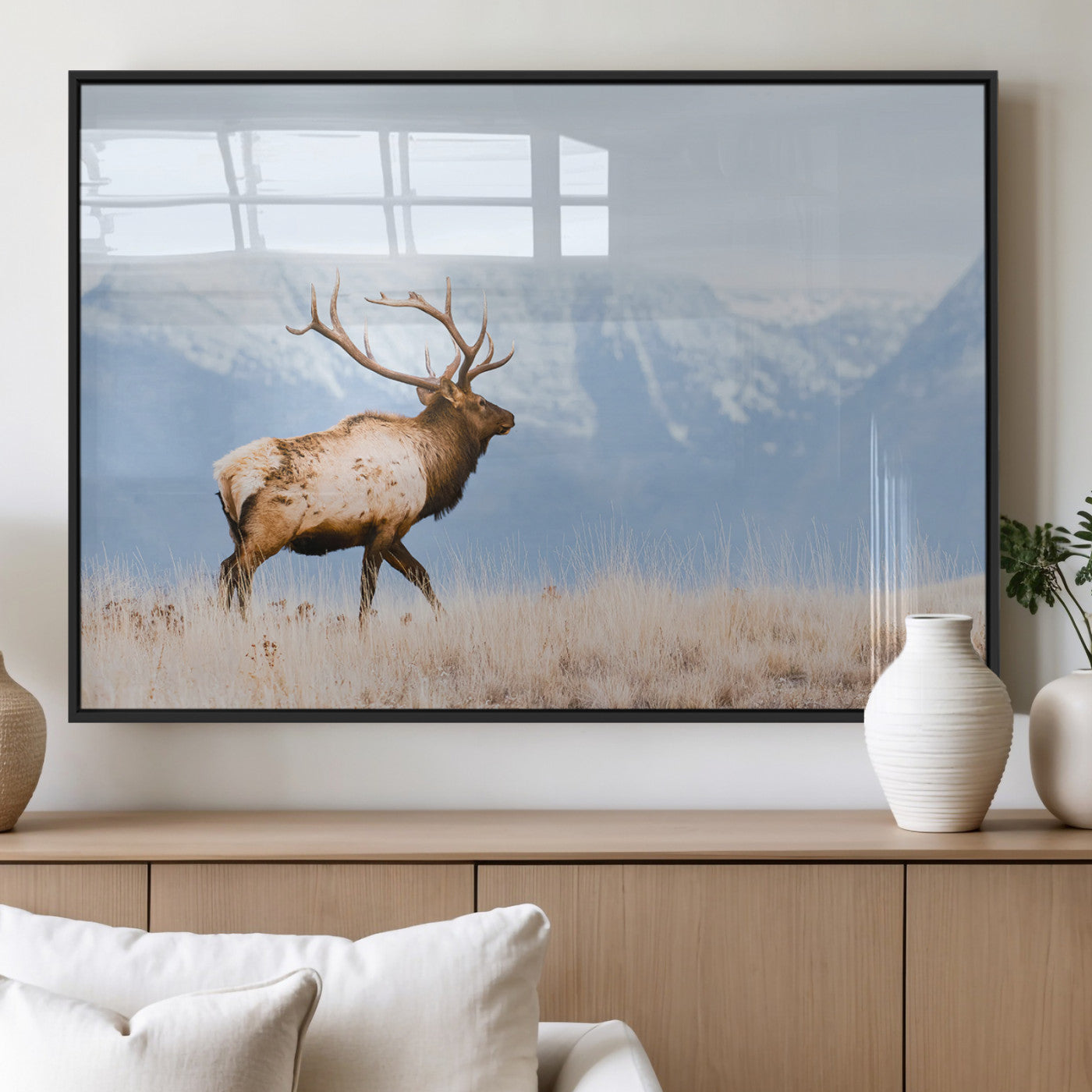 An elk walking on snowy grassland with majestic mountains in the background, ideal for rustic lodge or cabin wall decor.