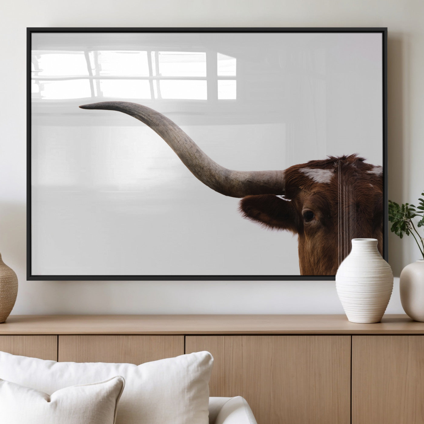 Close-up of Texas Longhorn horn and eye on white background, perfect for minimalist or modern farmhouse style wall decor.