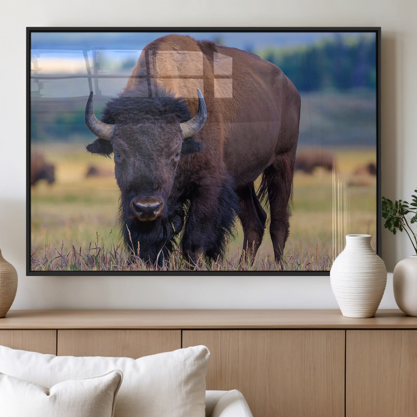 Close-up of a strong American bison standing in a grassy prairie with a blurred herd in background, perfect for rustic lodge decor.