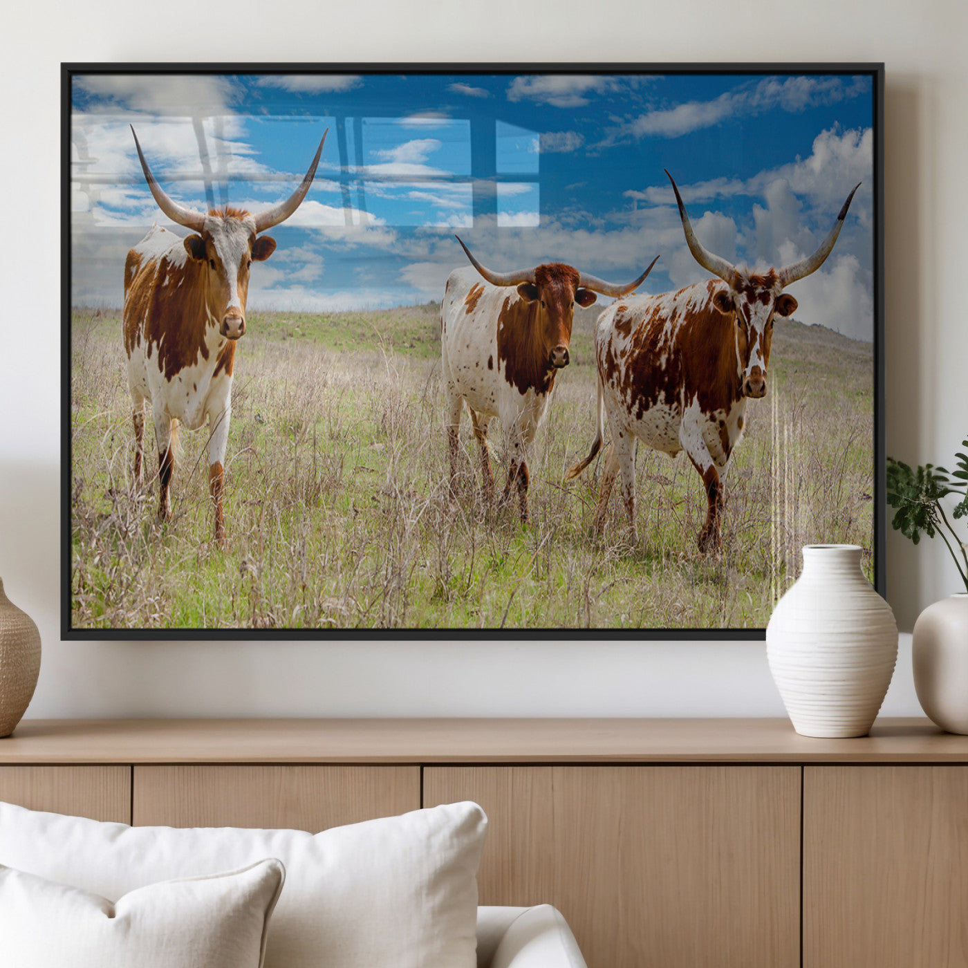 Three Texas longhorn cattle standing in dry grass under a bright blue sky, ideal for farmhouse or western rustic home decor.