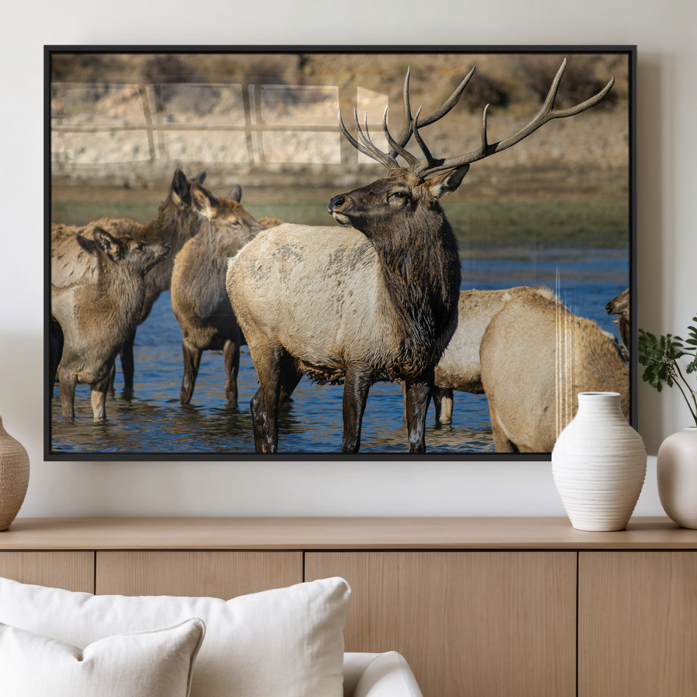 Group of elk standing in shallow water with dry rocky terrain in the background, showcasing wildlife in a natural setting for rustic decor.