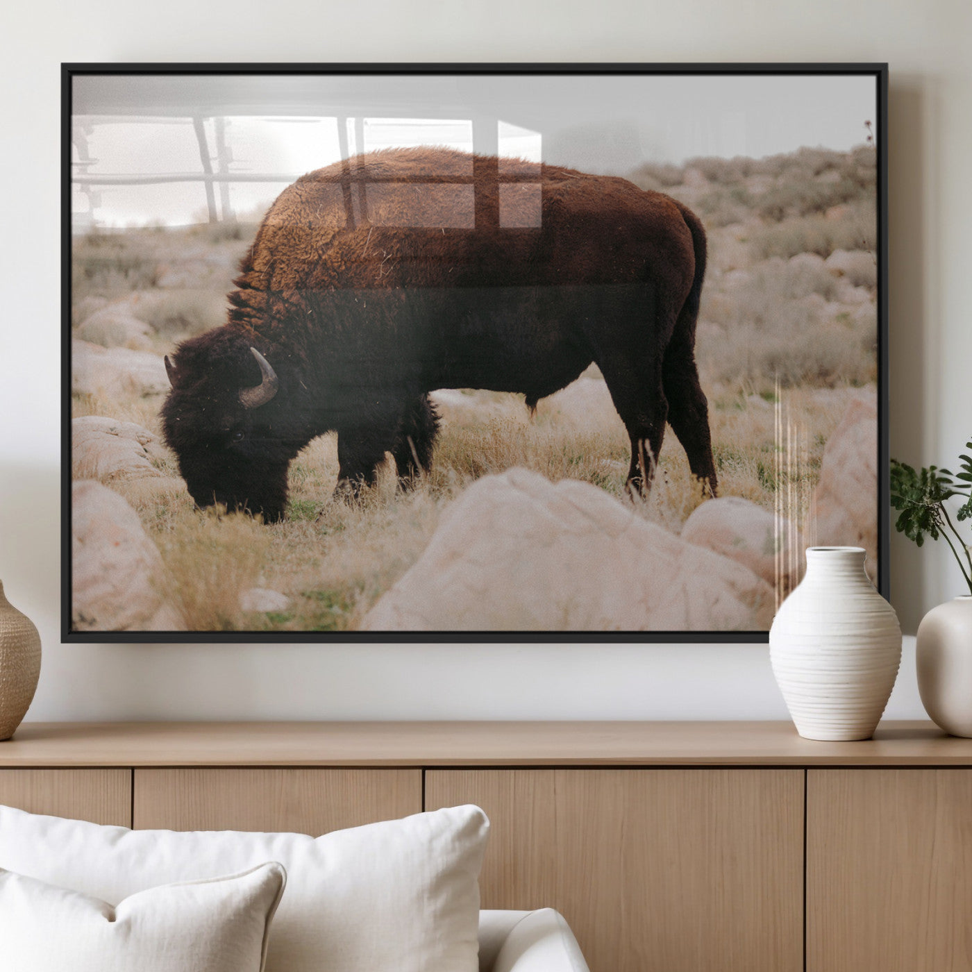 A solitary bison grazing in a rugged prairie with earthy tones and scattered rocks, capturing the essence of the American West for rustic decor.