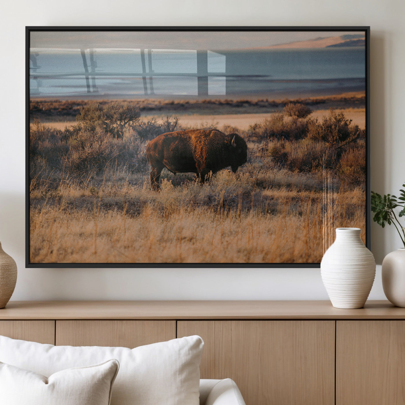 A lone bison grazing in golden prairie grass at sunset, with warm earthy tones and a distant lake view, perfect for rustic and western decor.
