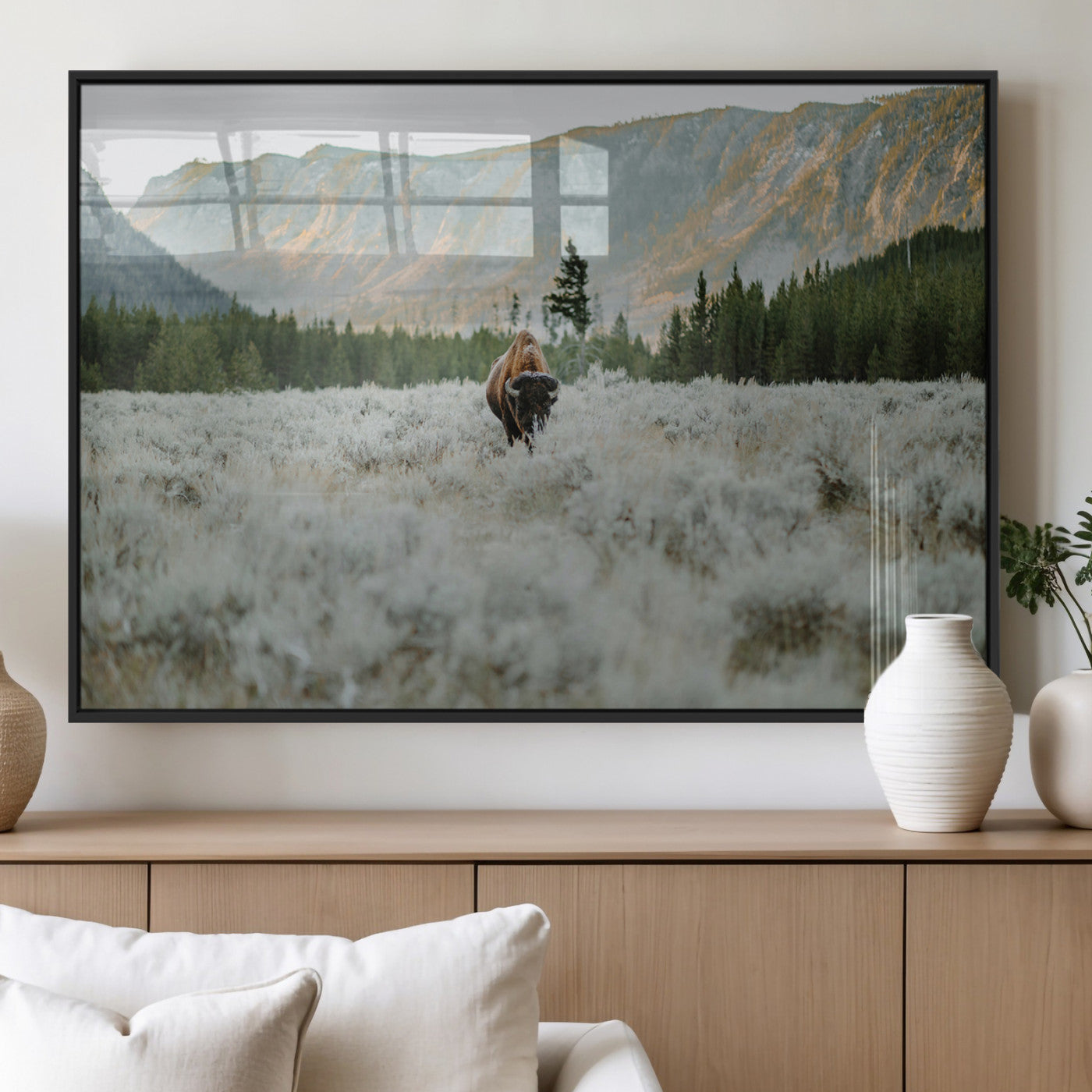 Lone bison standing in a frosted sagebrush field with a pine forest and rugged mountain range in the background under soft morning light – Wall Art Canvas Print.