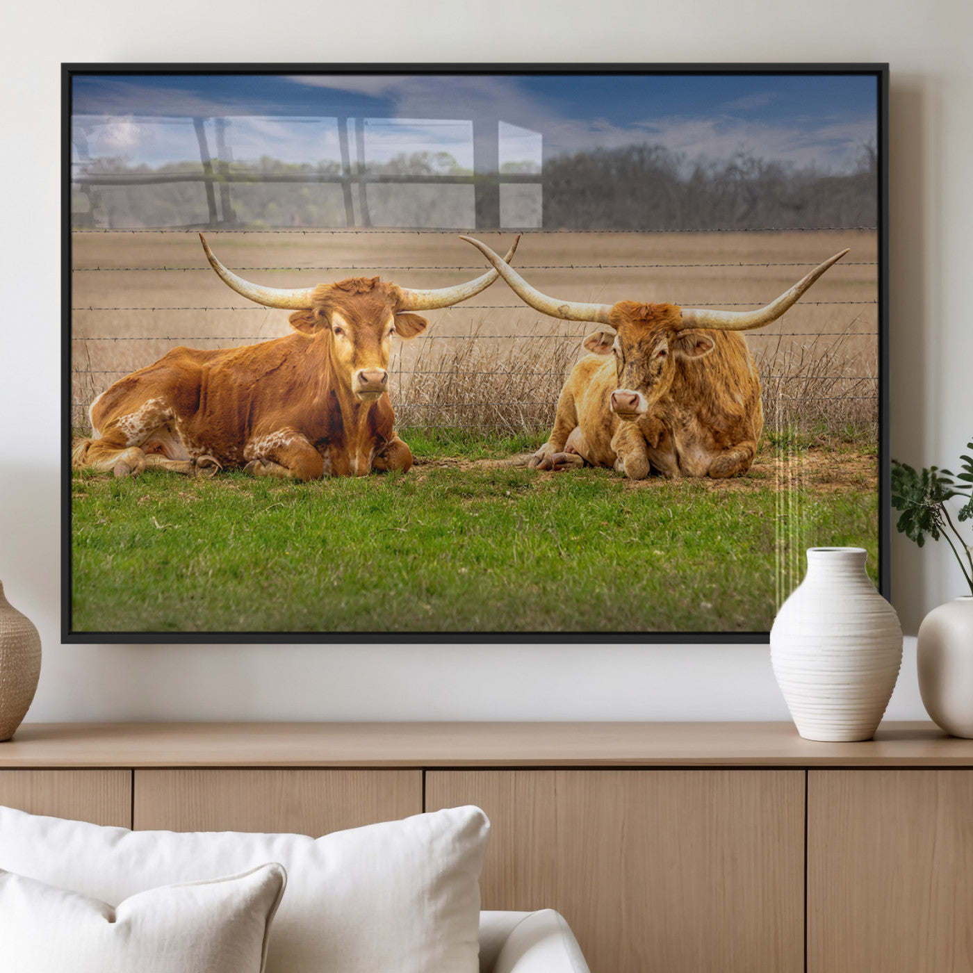 Two longhorn cattle resting on green grass in a rural field with a barbed wire fence and blurred trees in the background.