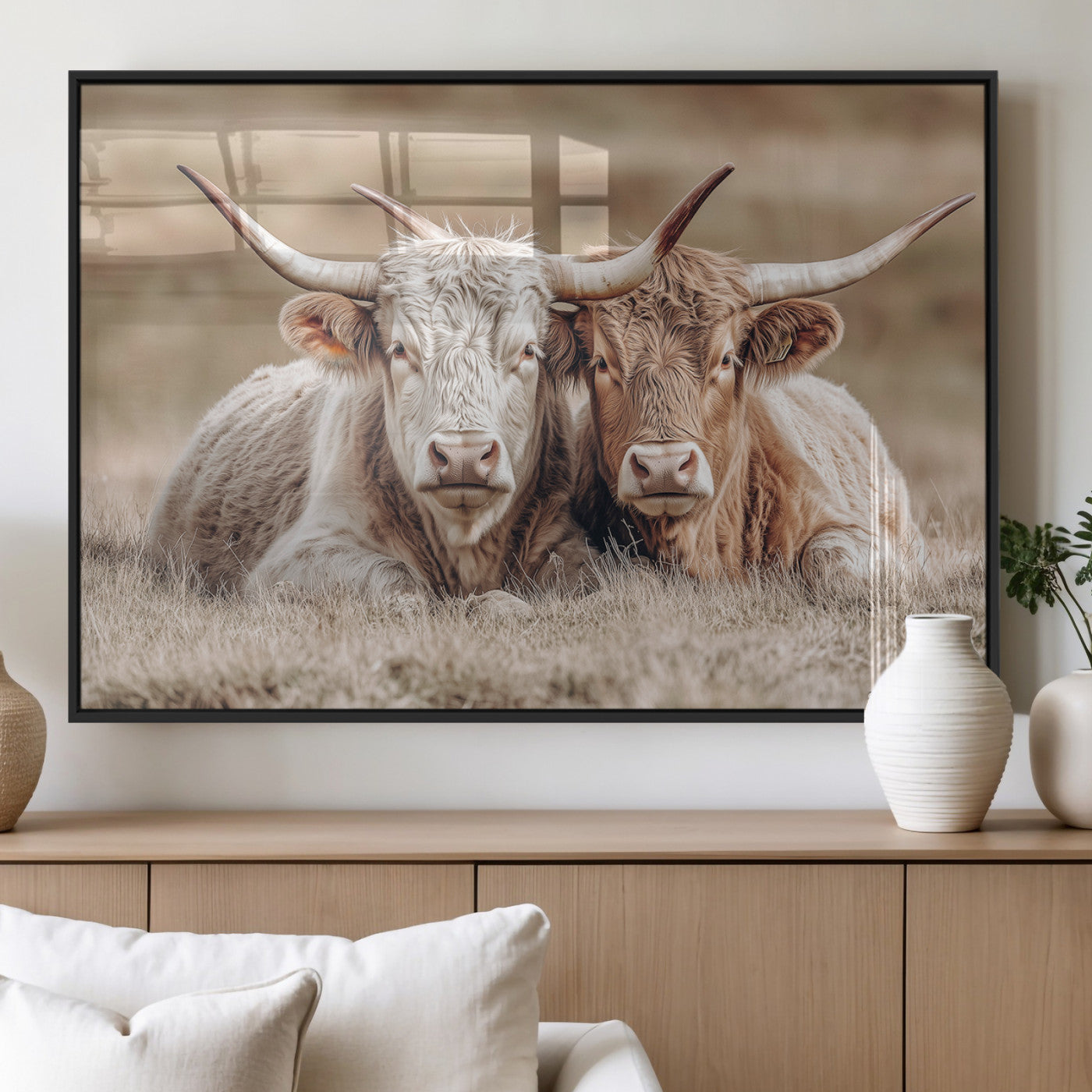 Two Highland cows with long horns lying side by side on a grassy field, featuring soft natural tones and a calm rural setting.