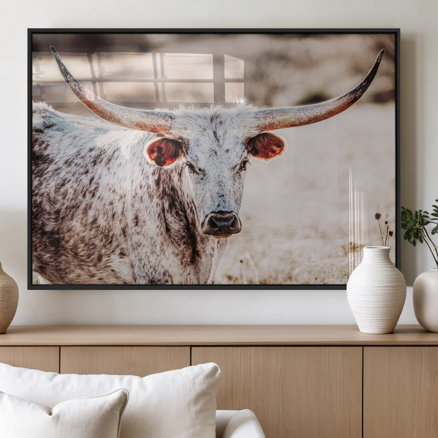 Close-up photograph of a white and brown speckled longhorn cow with very large, curved horns standing in a sunlit field with dry grass and blurred background.