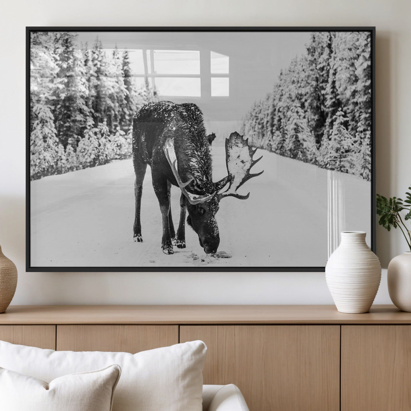 A majestic moose grazing in the snow-covered wilderness, surrounded by snow-covered trees, creating a peaceful winter scene.