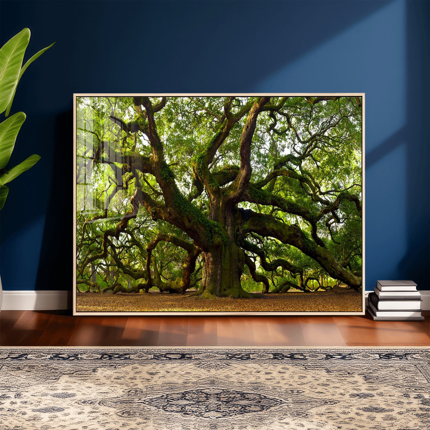 Angel Oak Tree Wall Art Canvas Print | Forest Tree Nature