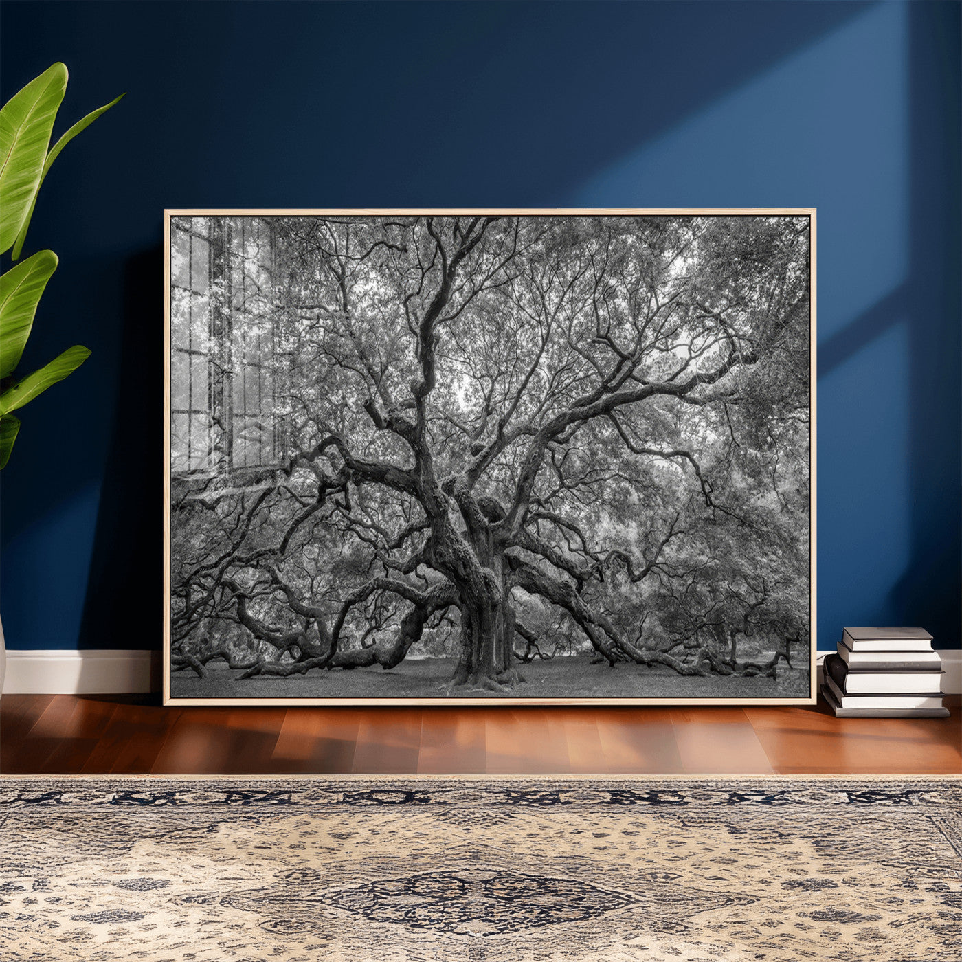 97240-MGV-CV-36X24 - Large Angel Oak Tree Black and White Canvas Print