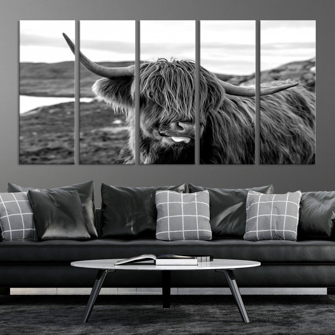 Scottish Highland Cow Cattle Art Print Farmhouse Wall Art Canvas Print