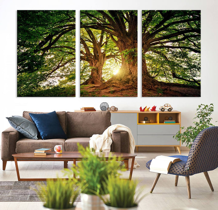 Majestic Ancient Tree Wall Art, Nature-Inspired Canvas Print, Woodland Art, Tree of Life Artwork, Sunlit Forest, Giclee Nature Print