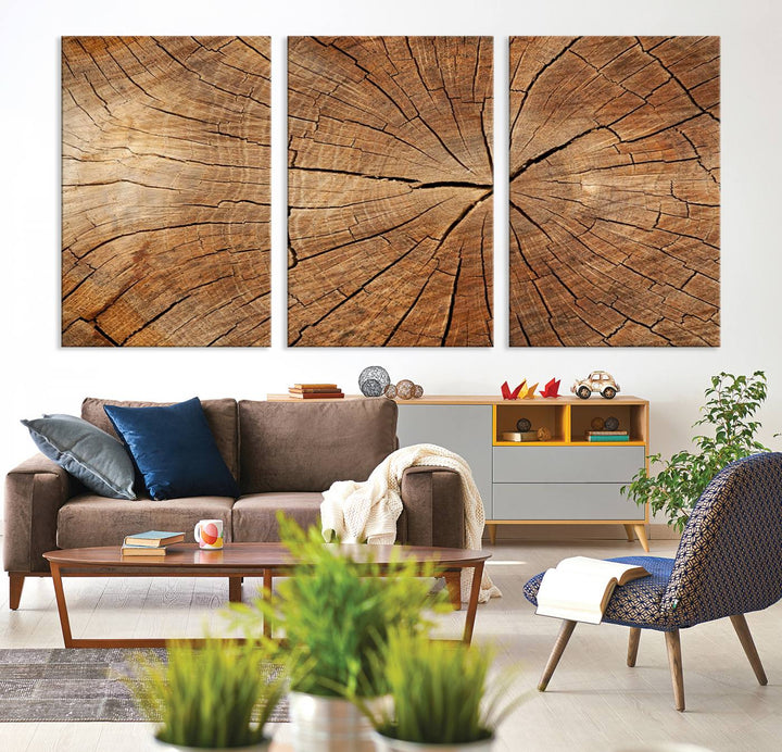 The stunning multi-panel wall art piece, the Tree Ring Canvas Art, features intricate rustic wood grain textures. This giclee triptych hangs elegantly on the wall.