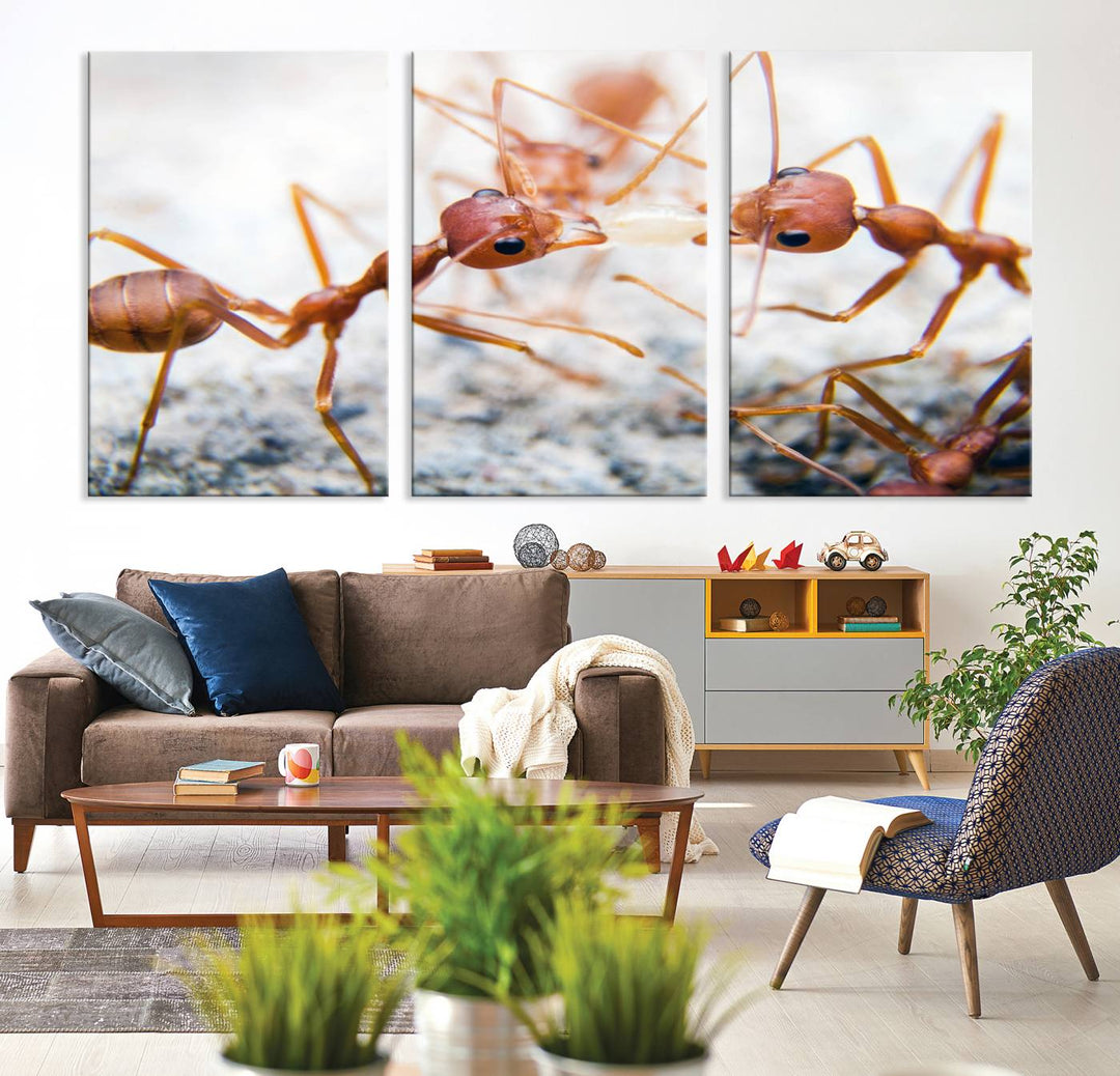 The "Ants Wall Art Canvas Print" features two ants facing each other, beautifully presented across three panels on museum-quality canvas with a UV-protective coating.