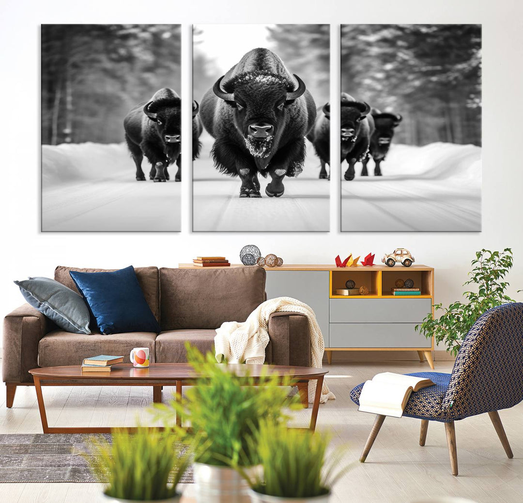 Buffalo Wall Art Canvas Print, Bison Wall Art Canvas Print