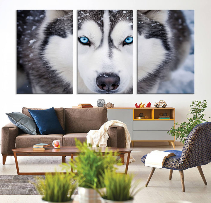 A large framed Winter Siberian Husky Wolf Wall Art Canvas Print, an exquisite piece of animal portrait decor, hangs prominently on the wall.