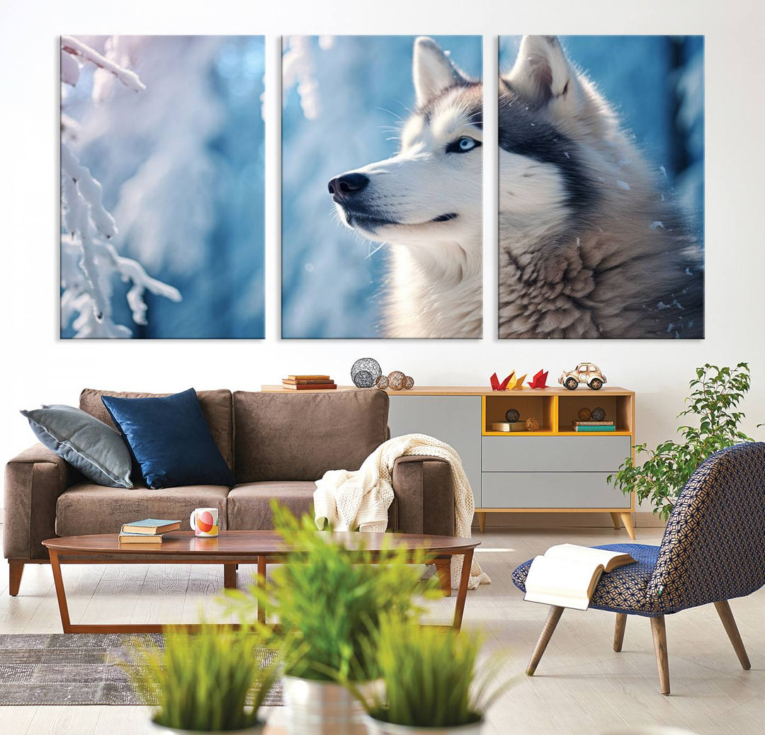 A captivating Winter Siberian Husky Wolf Wall Art Canvas Print hangs prominently.