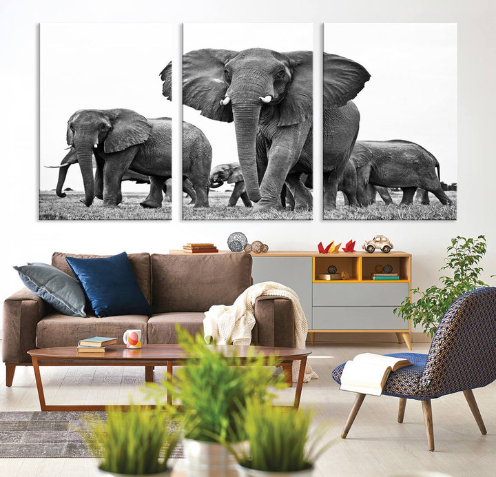 The Black White Elephant Family Wall Art Canvas Print features a triptych of elephants walking in the wild, crafted as gallery-quality wall art on premium canvas.