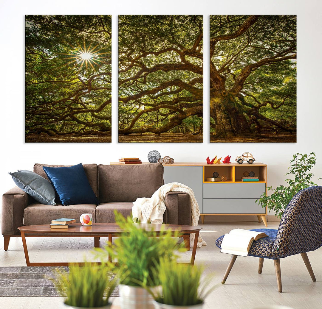 Ancient Angel Oak Tree Sunburst Wall Art - Nature-Inspired Triptych Canvas Print, Framed, Ready to Hang