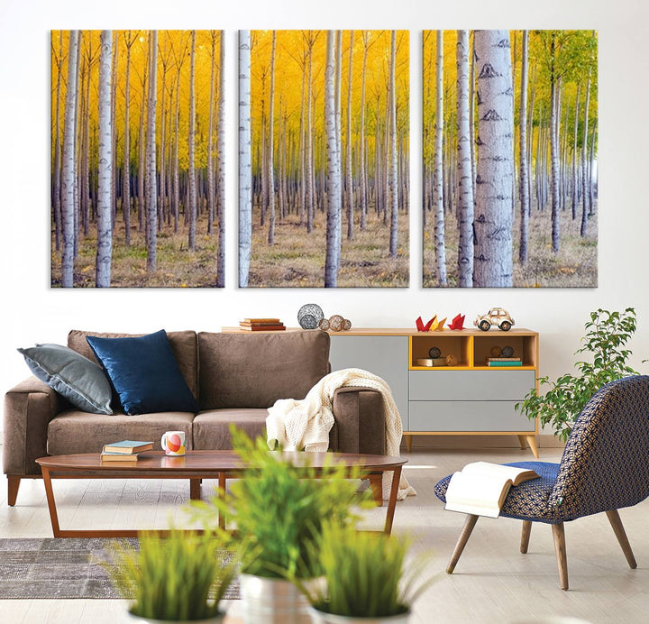 Birch Trees Forest in Autumn Wall Art Print