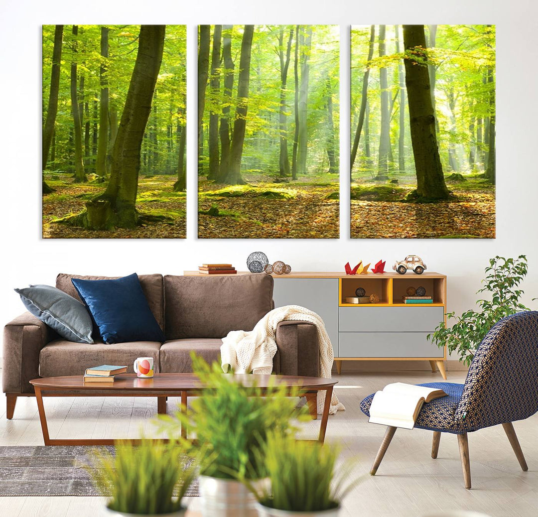 Wall Art Landscape Canvas Print Sunshine in Green Forest