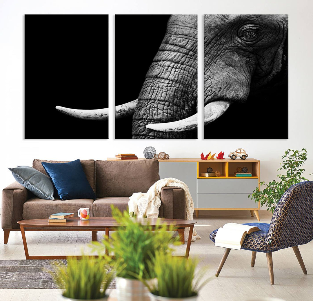 Wall Art Animal Canvas Print Close Taken Elephant with Big Ivories