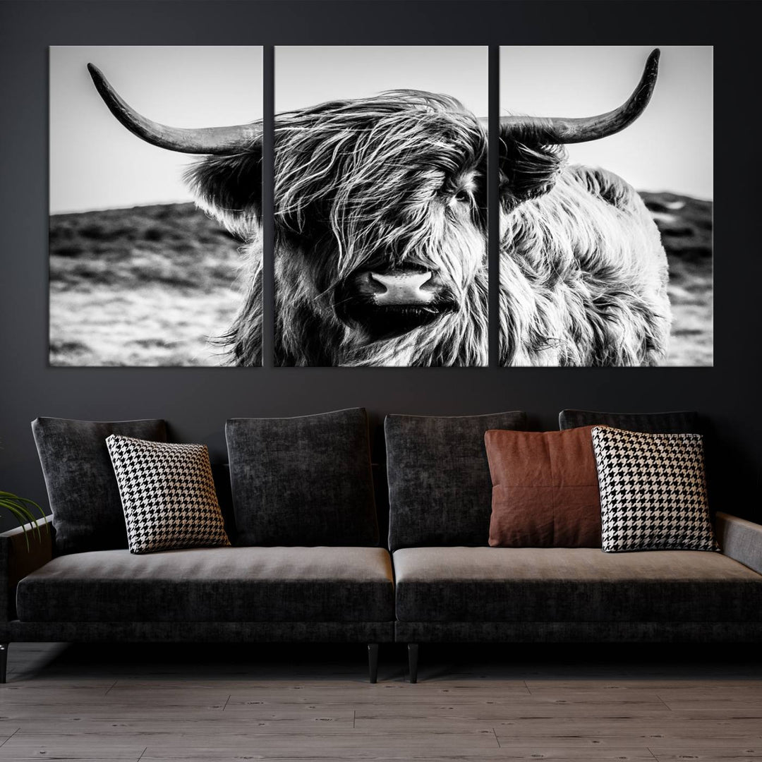 Scottish Cow Black and White Wall Canvas Art Print Farm House