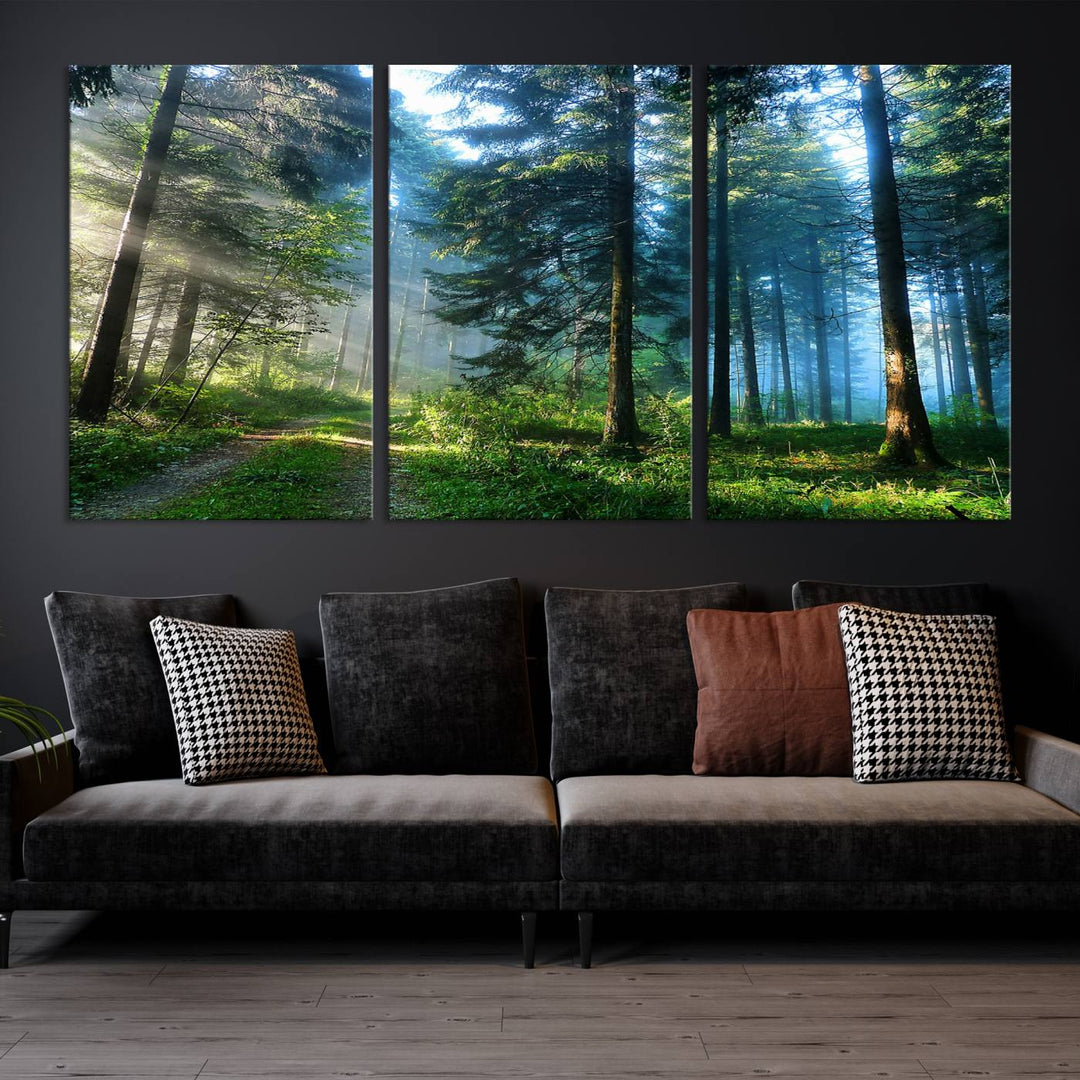 Forest Sun Shine Wall Art Canvas Print