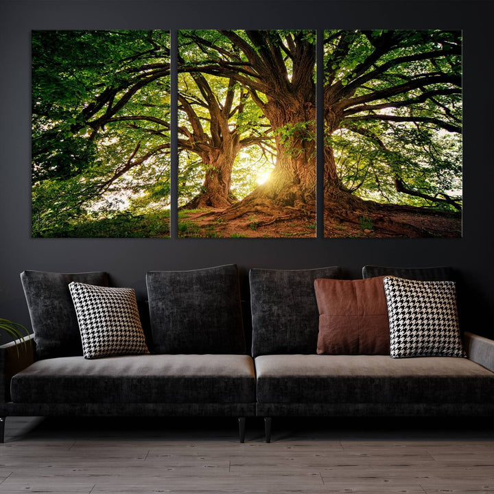 Majestic Ancient Tree Wall Art, Nature-Inspired Canvas Print, Woodland Art, Tree of Life Artwork, Sunlit Forest, Giclee Nature Print