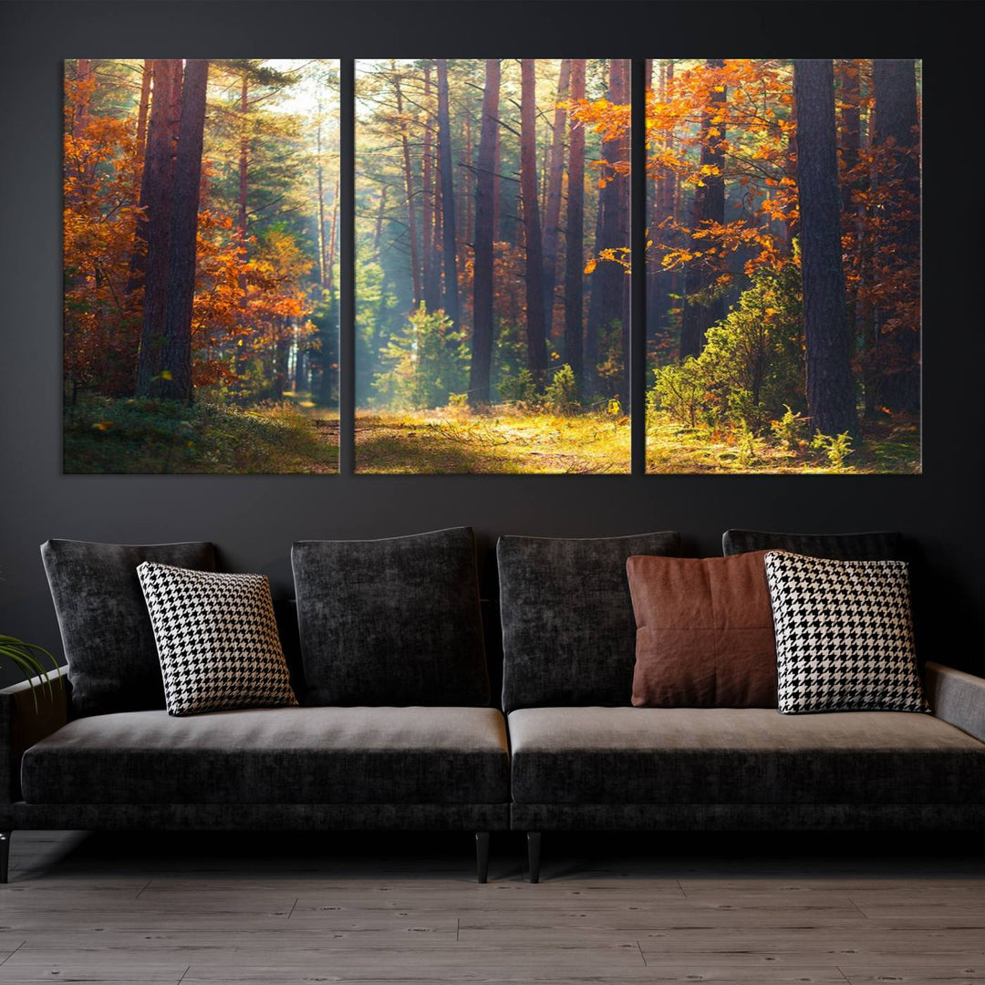 Forêt Sunshine Wall Art Impression sur toile