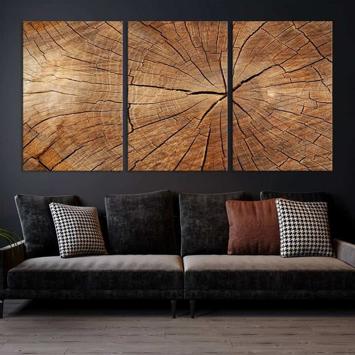 The stunning multi-panel wall art piece, the Tree Ring Canvas Art, features intricate rustic wood grain textures. This giclee triptych hangs elegantly on the wall.