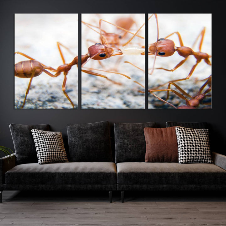 The "Ants Wall Art Canvas Print" features two ants facing each other, beautifully presented across three panels on museum-quality canvas with a UV-protective coating.