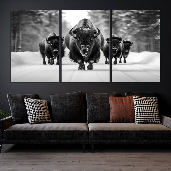 Buffalo Wall Art Canvas Print, Bison Wall Art Canvas Print