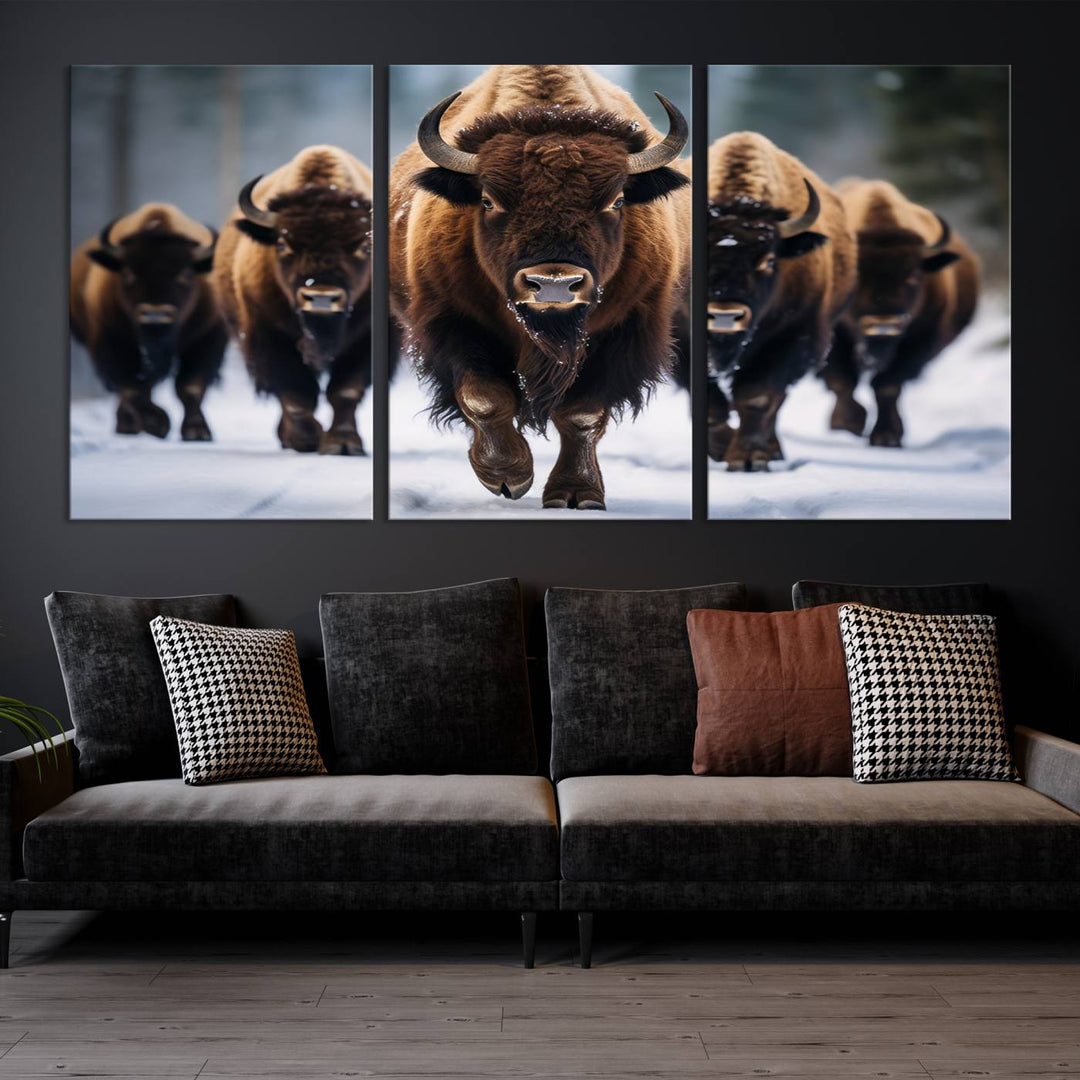 Buffalo Wall Art Canvas Print, American Bison Herd Wall Art Canvas Print