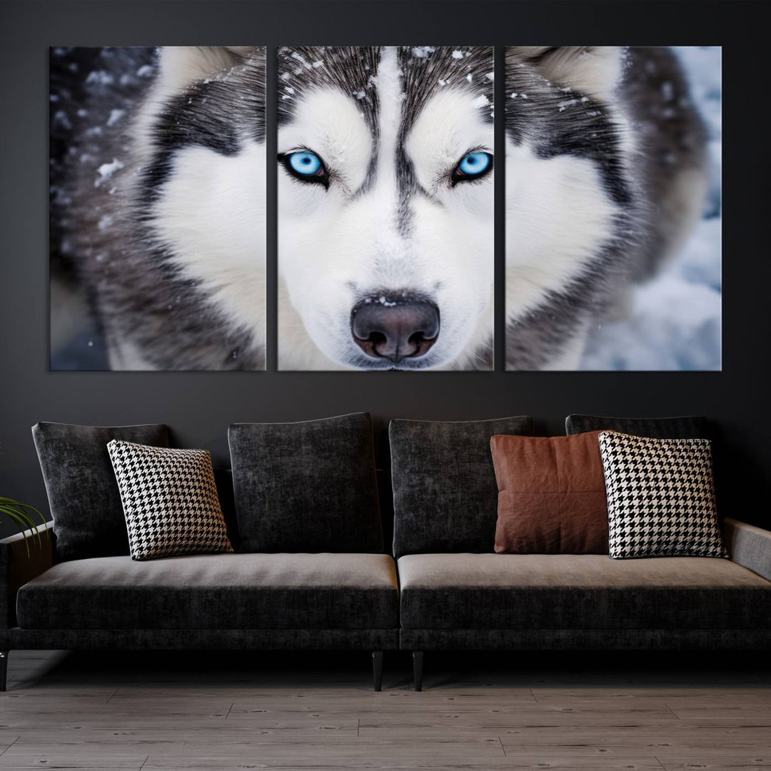 A large framed Winter Siberian Husky Wolf Wall Art Canvas Print, an exquisite piece of animal portrait decor, hangs prominently on the wall.