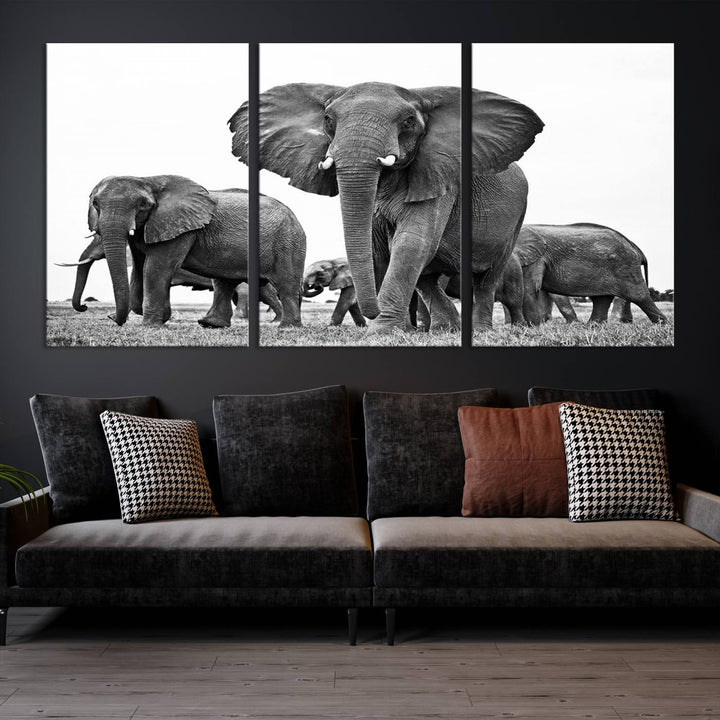 The Black White Elephant Family Wall Art Canvas Print features a triptych of elephants walking in the wild, crafted as gallery-quality wall art on premium canvas.