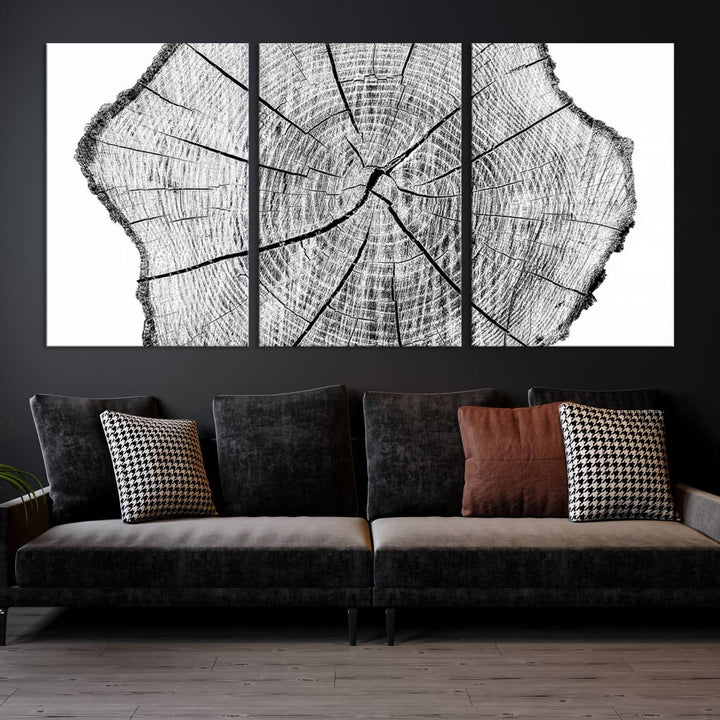 Rustic Tree Ring Wall Art Canvas Print – Framed and Ready to Hang – Perfect for Nature-Inspired and Minimalist Décor 