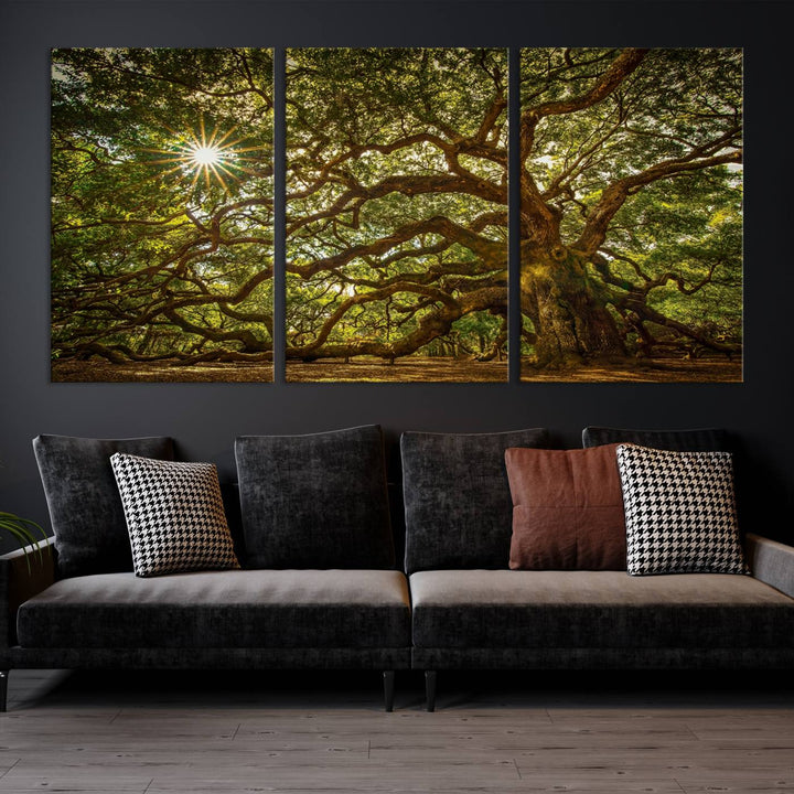 Ancient Angel Oak Tree Sunburst Wall Art - Nature-Inspired Triptych Canvas Print, Framed, Ready to Hang