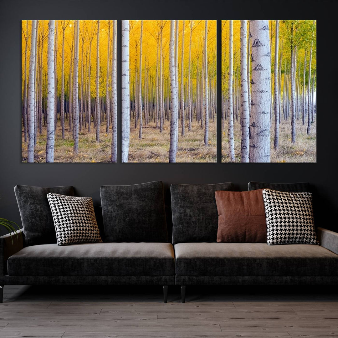 Birch Trees Forest in Autumn Wall Art Print