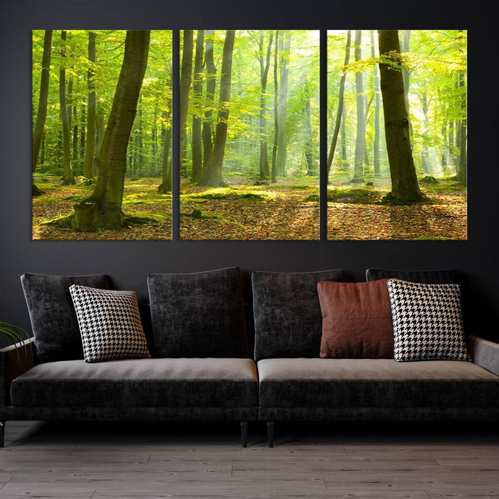 Wall Art Landscape Canvas Print Sunshine in Green Forest