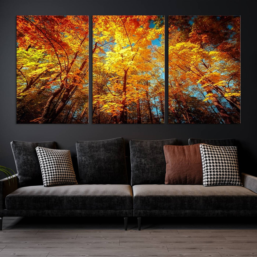 Forest View at Fall Wall Art Autumn Colors Landscape Canvas Print