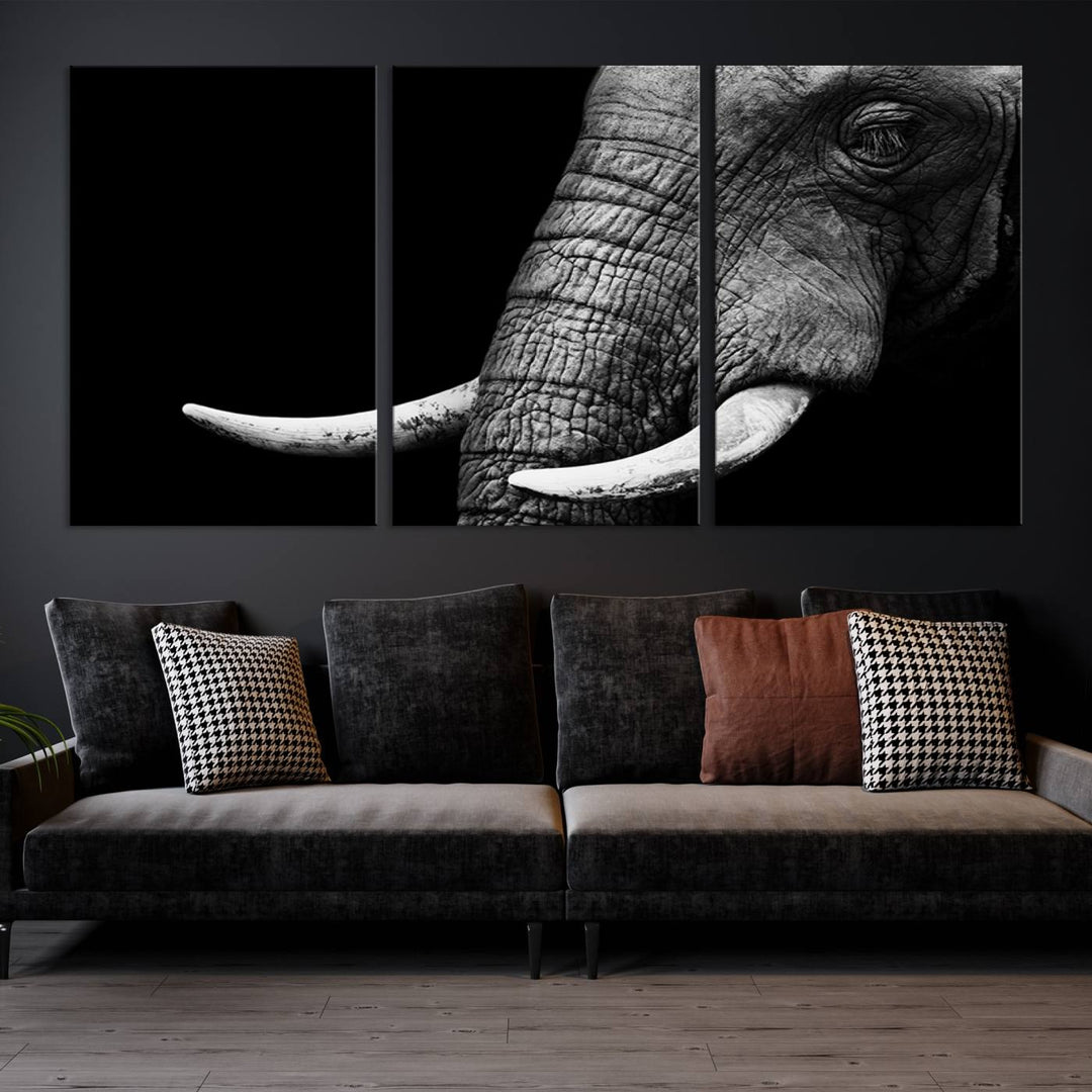 Wall Art Animal Canvas Print Close Taken Elephant with Big Ivories