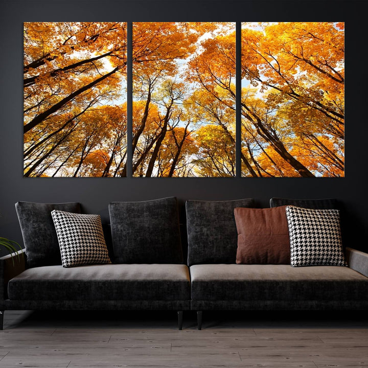 Wall Art Yellow Forest and Sky in Autumn Canvas Print